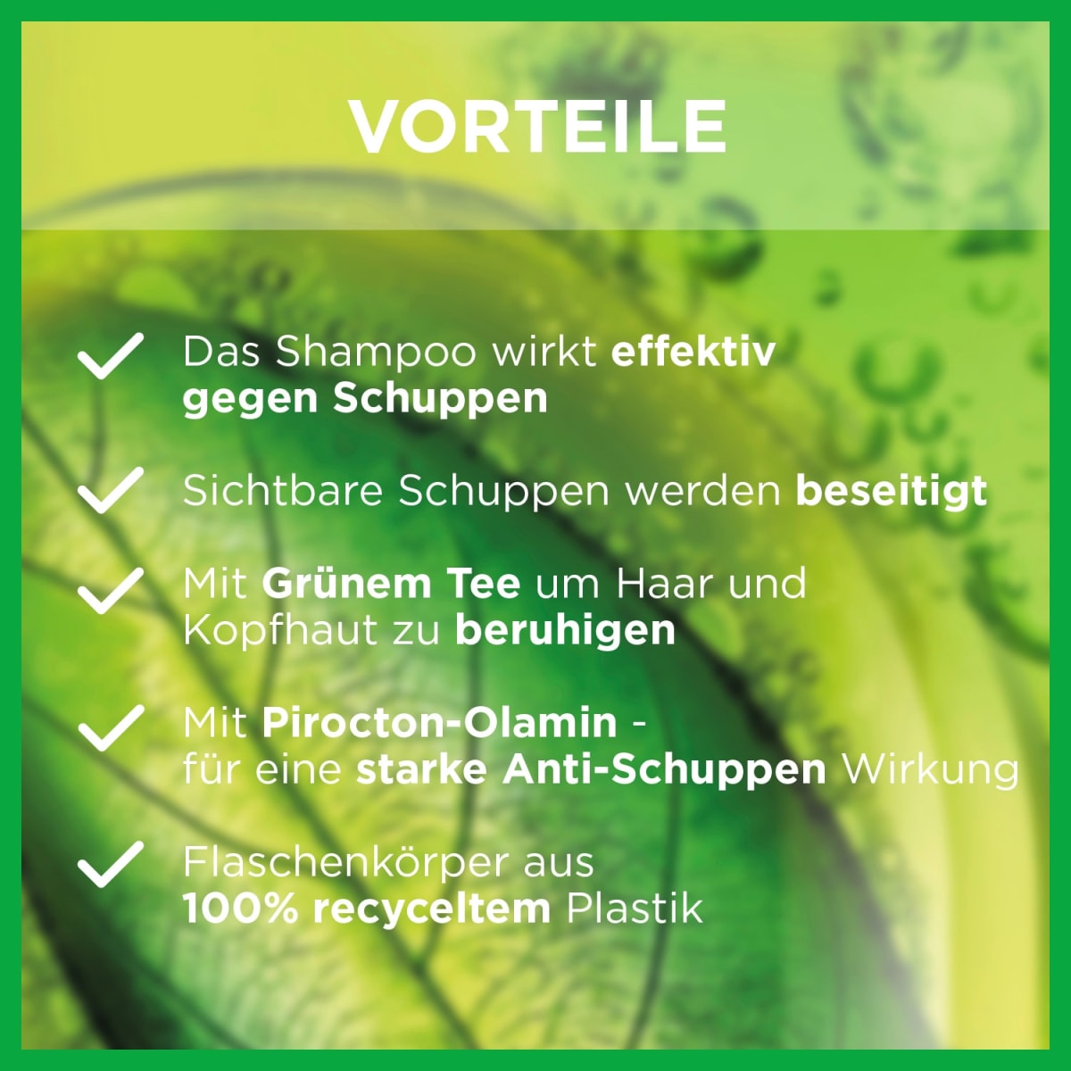 Shampooing antipelliculaire Classic, 300 ml