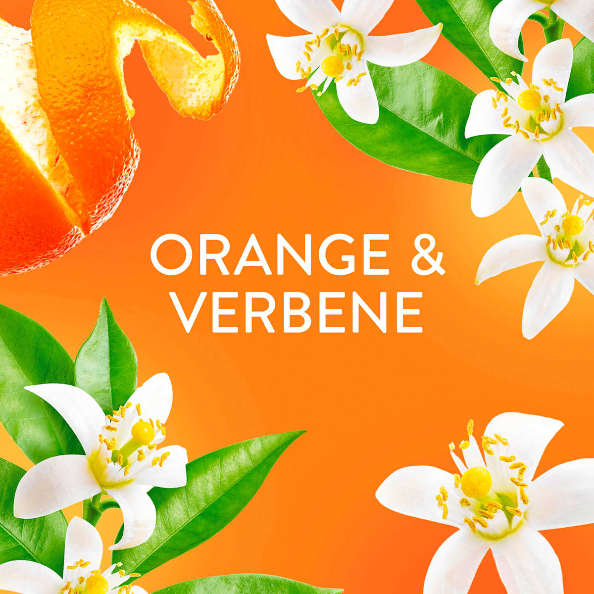 Assouplissant Orange & Verveine 59WL, 1,239 l