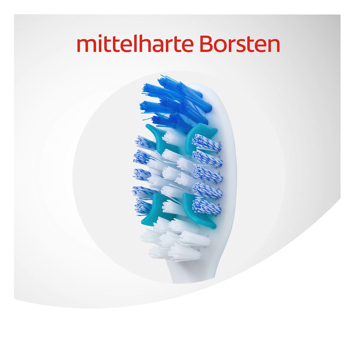 Brosse à dents Total Nettoyage complet moyen (1+1Gratuit), 2 pces