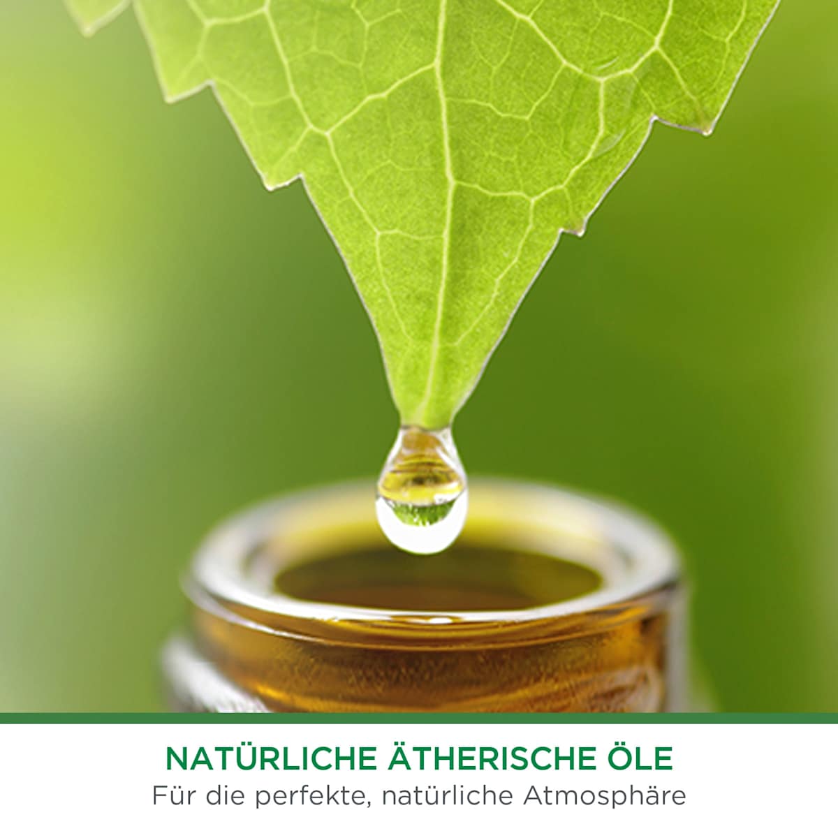 Désodorisant Freshmatic Plaisir d'été Starterset, 1 pce